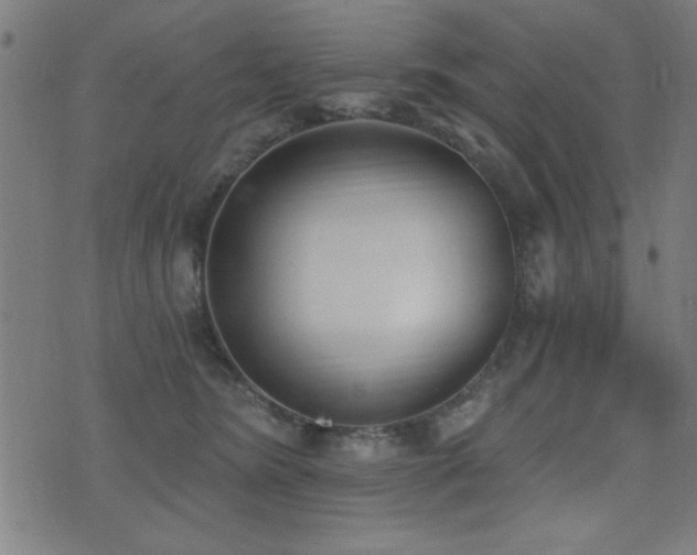 X0000075370420200609081144