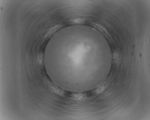 X0000075370423200609081144