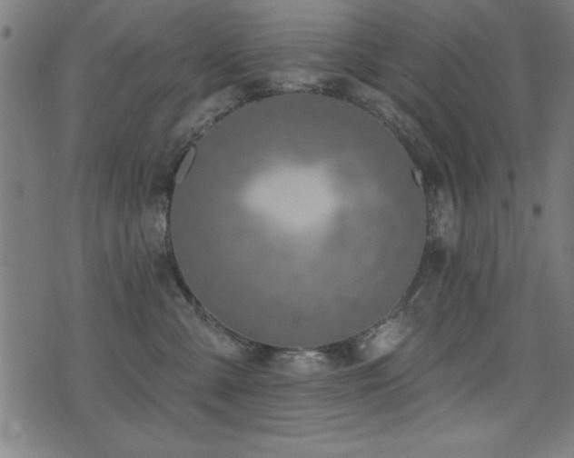 X0000075370427200609081144