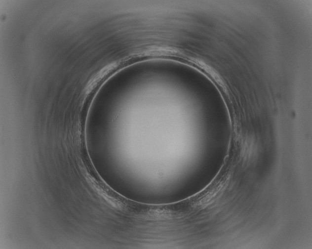 X0000075370437200609081143