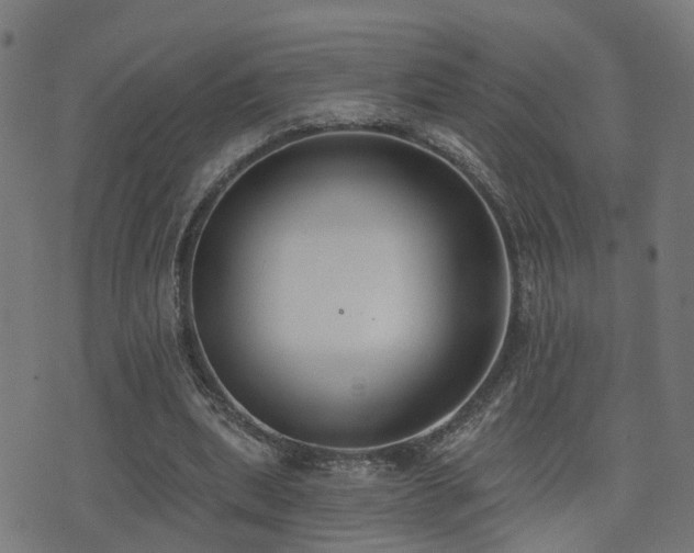 X0000075370439200609081143