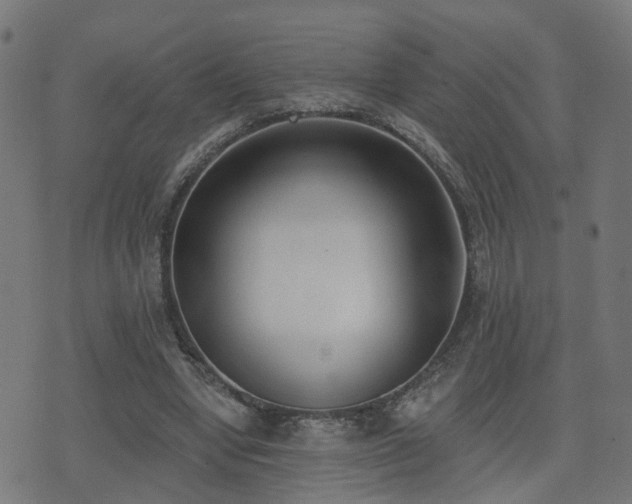 X0000075370442200609081143