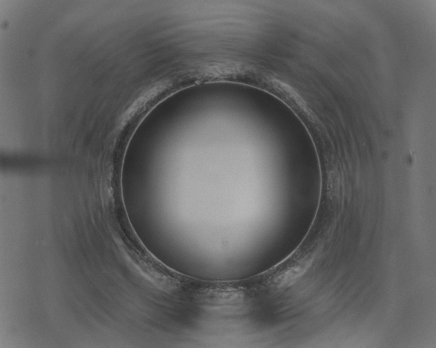X0000075370443200609081143
