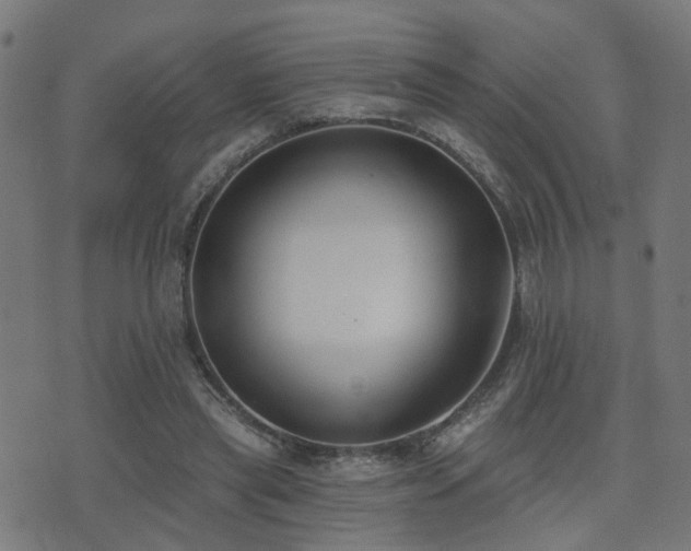 X0000075370445200609081143