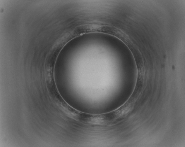 X0000075370462200609081144