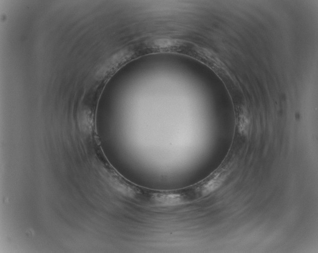 X0000075370476200609081144