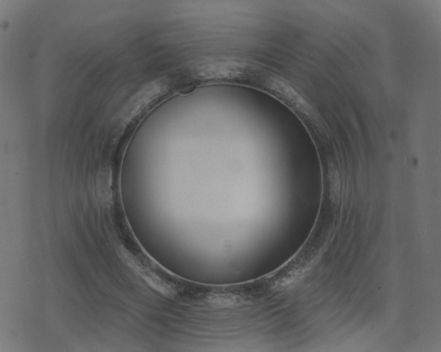 X0000075370490200609081143