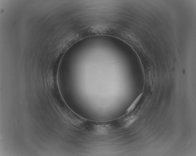X0000075370508200609081143