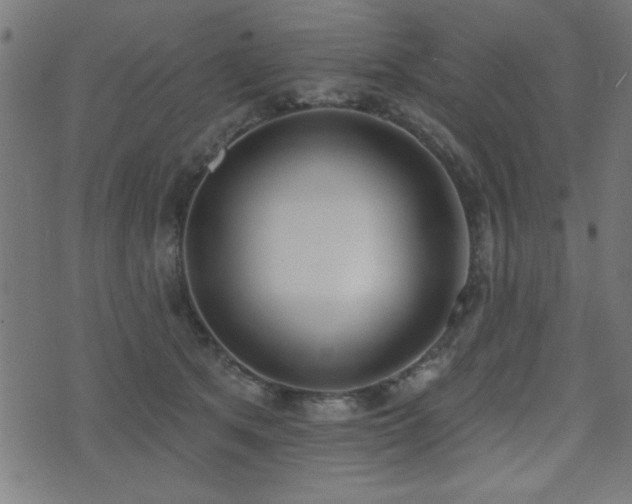 X0000075370513200609081143