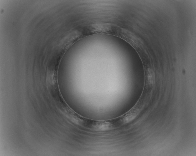 X0000075370514200609081143