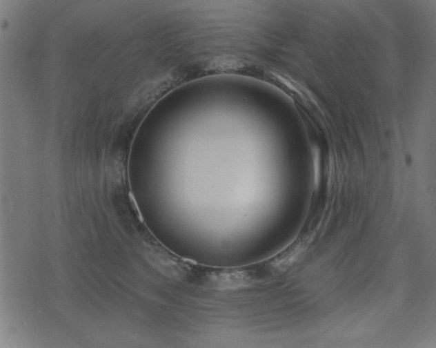 X0000075370517200609081143