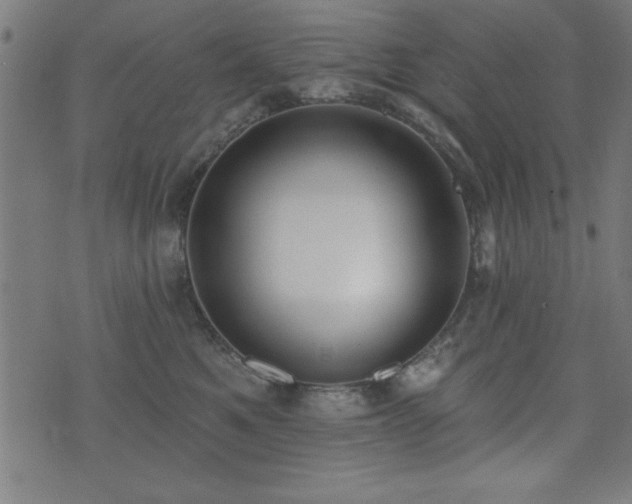 X0000075370521200609081143