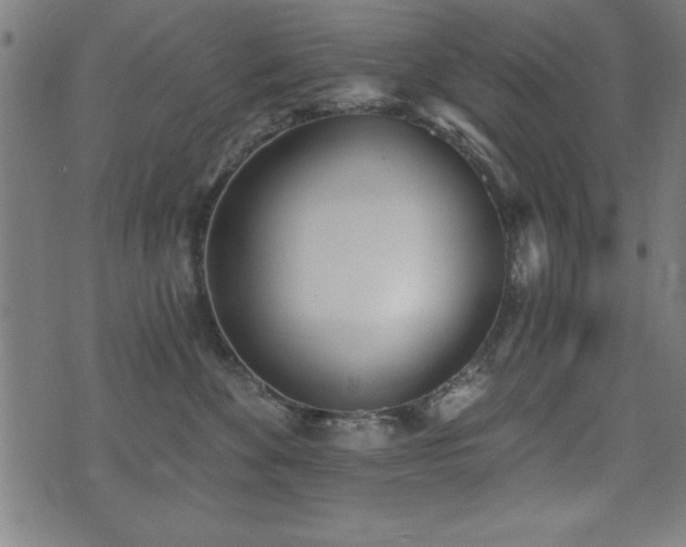 X0000075370524200609081142