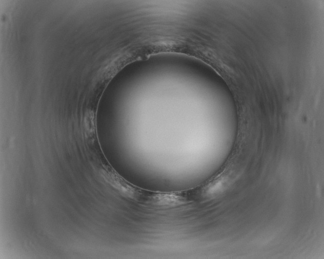 X0000075370528200609081142