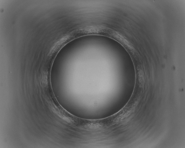 X0000075370537200609081142