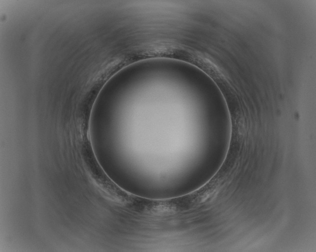 X0000075370546200609081142