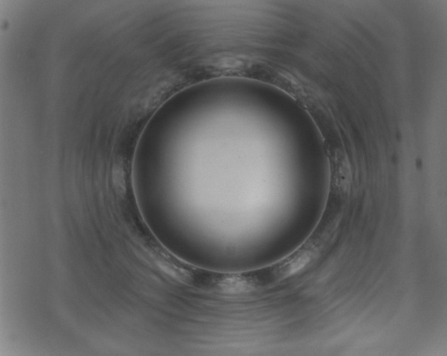 X0000075370562200609081142