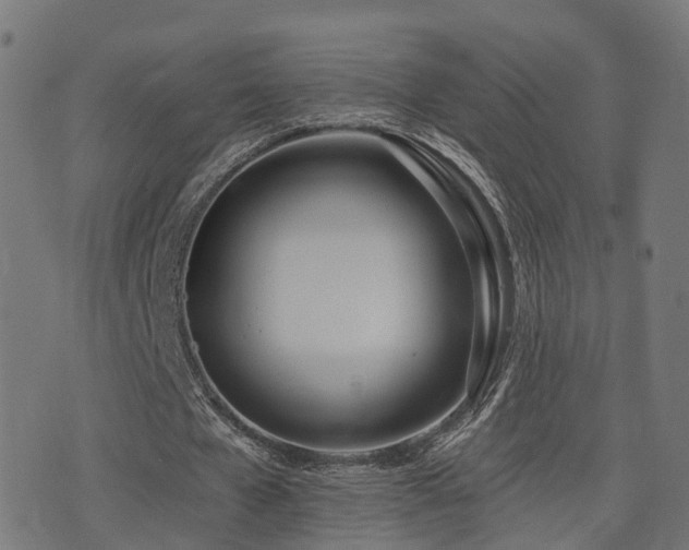 X0000075370577200609081142