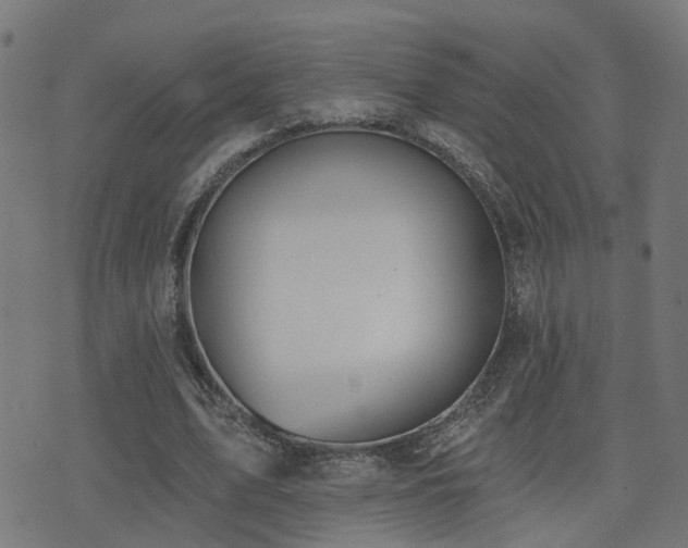 X0000075370583200609081141