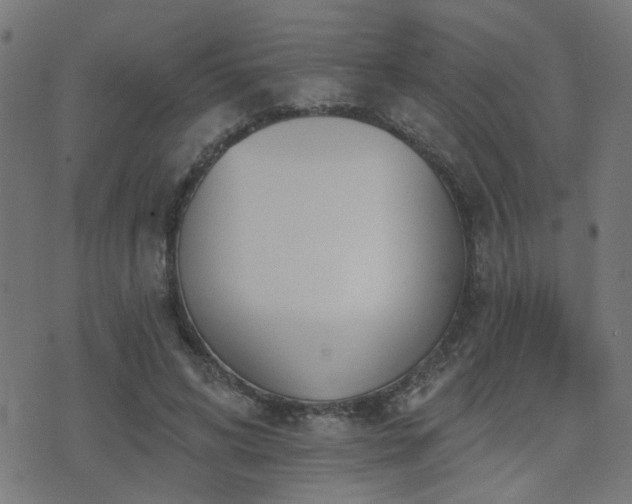 X0000075370592200609081141