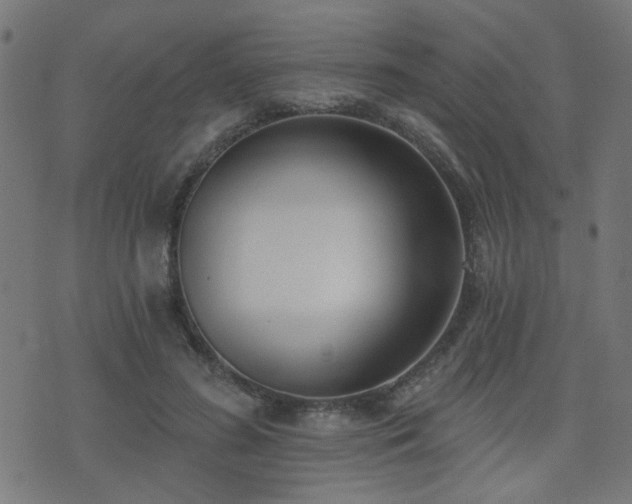 X0000075370596200609081141