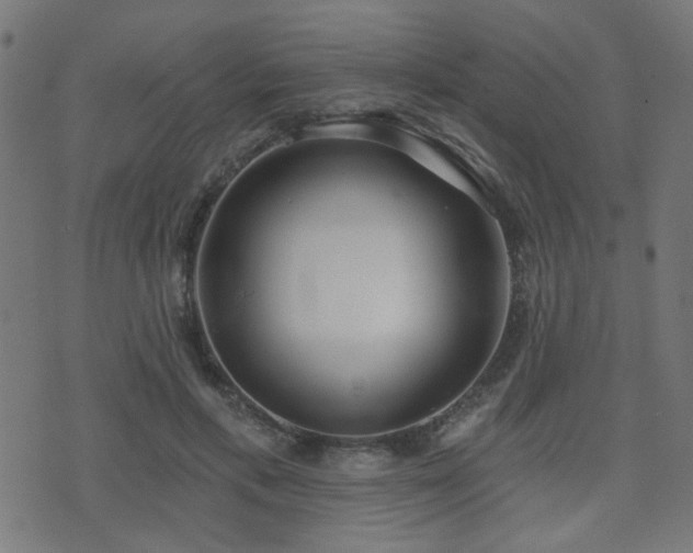 X0000075370597200609081141