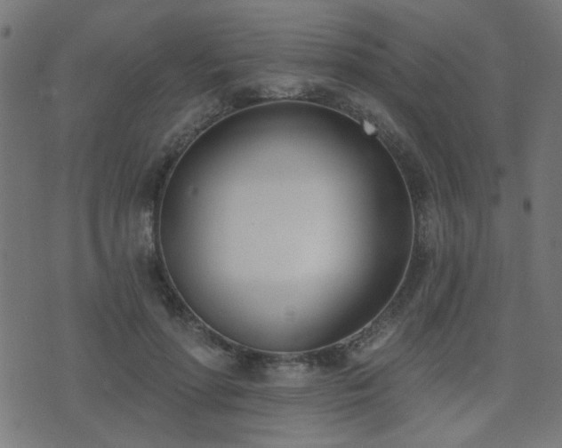 X0000075370598200609081141