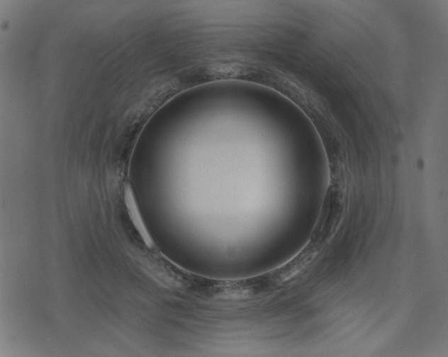 X0000075370601200609081141