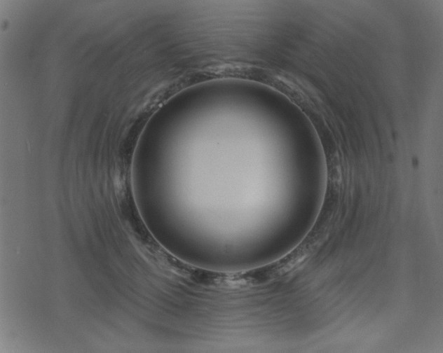 X0000075370607200609081141