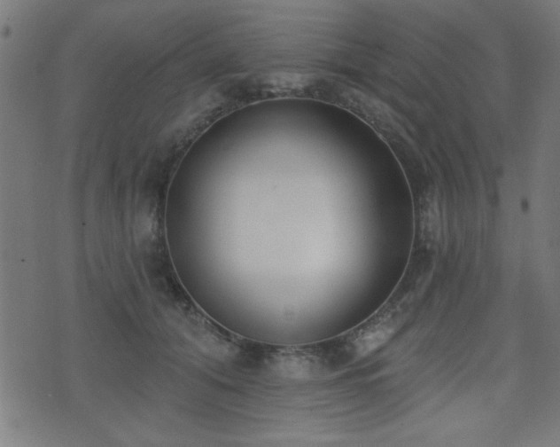 X0000075370608200609081141