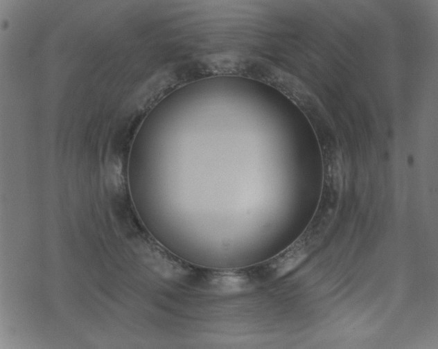 X0000075370610200609081141