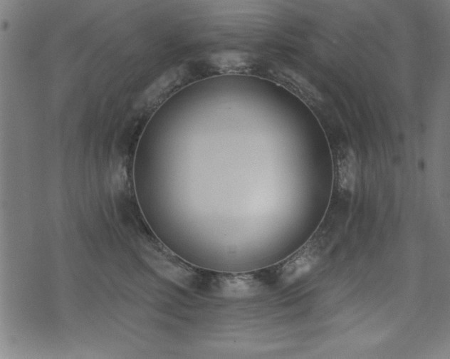 X0000075370618200609081141