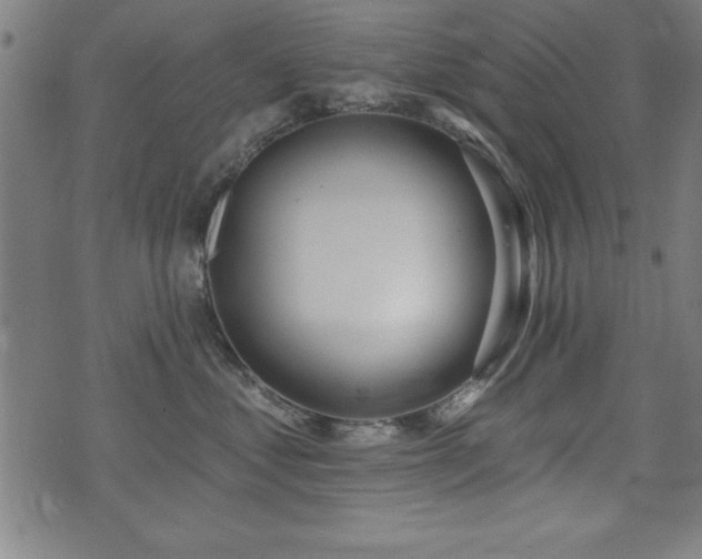 X0000075370621200609081141