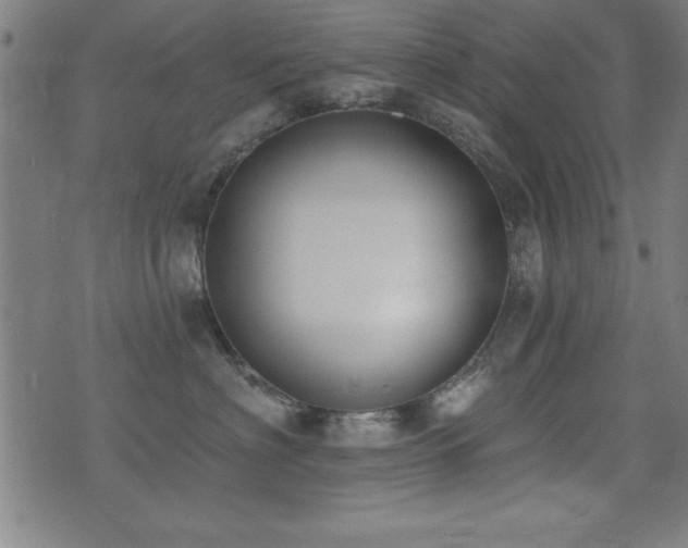 X0000075370622200609081141