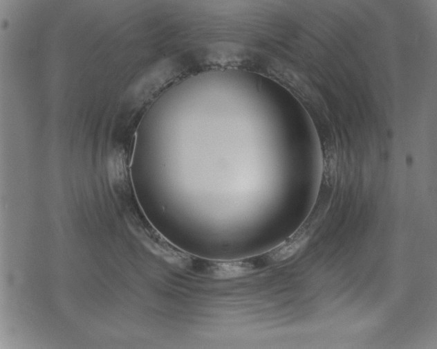X0000075370623200609081141
