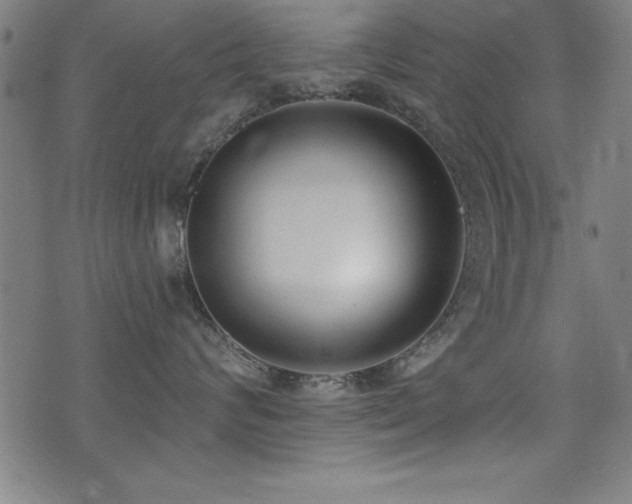 X0000075370624200609081141
