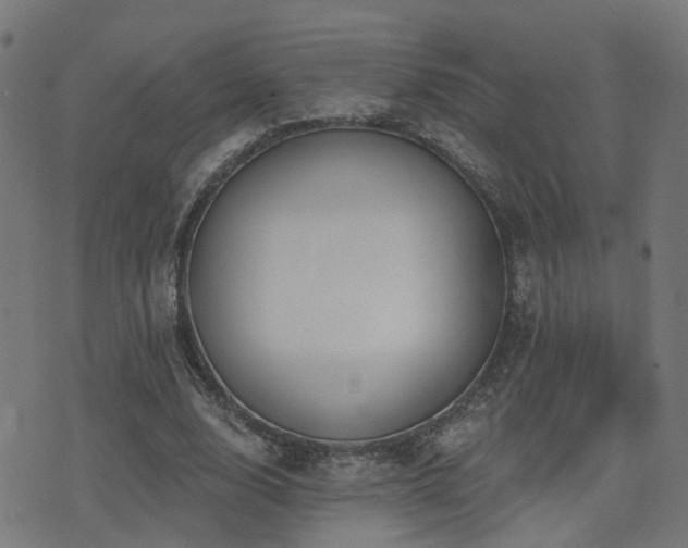 X0000075370632200609081140