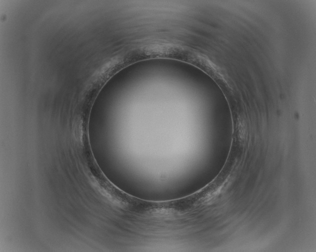 X0000075370637200609081140