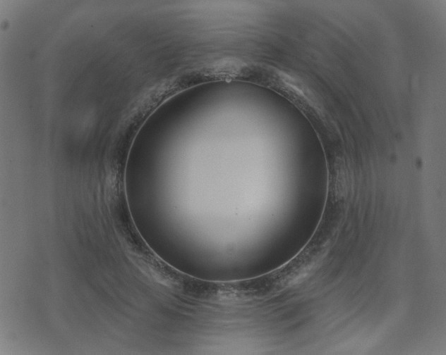 X0000075370641200609081140
