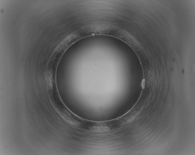 X0000075370644200609081140