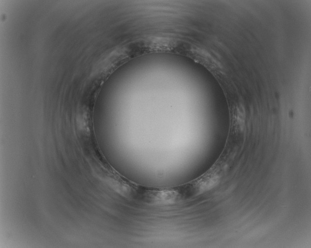 X0000075370663200609081141