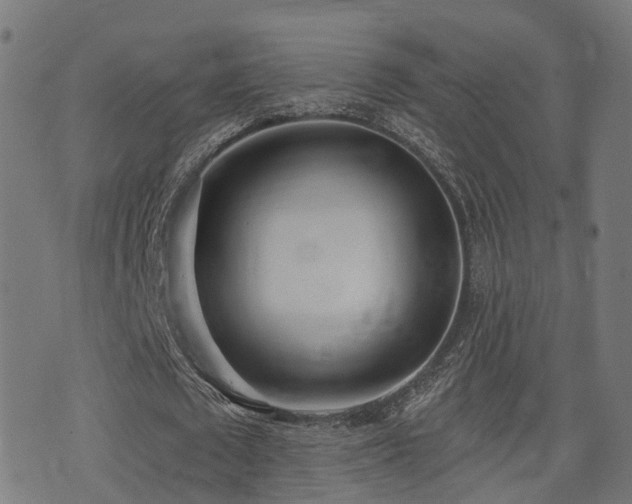 X0000075370673200609081140