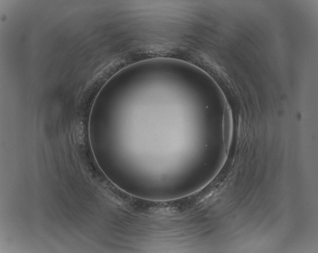 X0000075370689200609081140