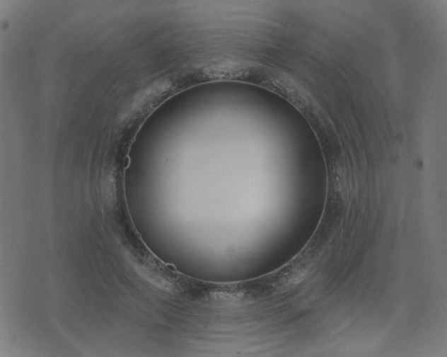 X0000075370690200609081140