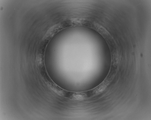 X0000075370706200609081139