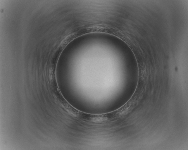 X0000075370708200609081139