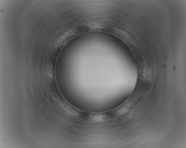 X0000075370710200609081139