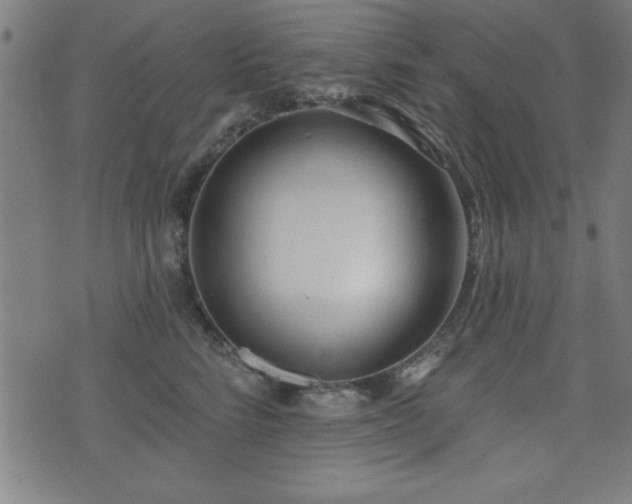 X0000075370712200609081139
