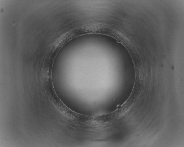 X0000075370737200609081139