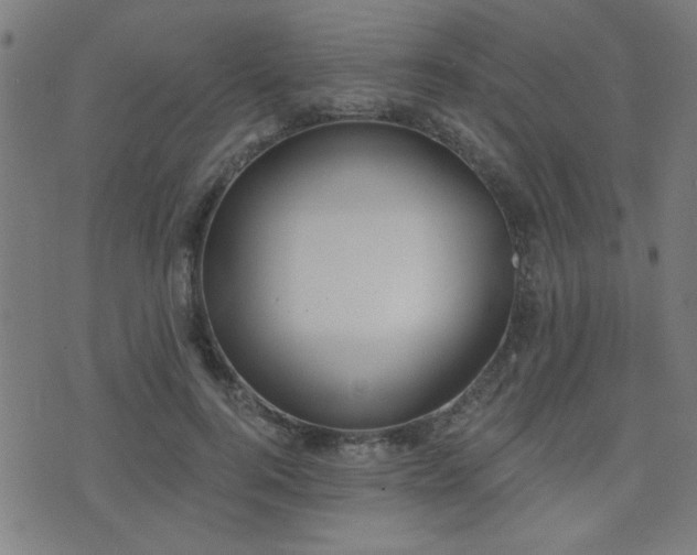 X0000075370744200609081139